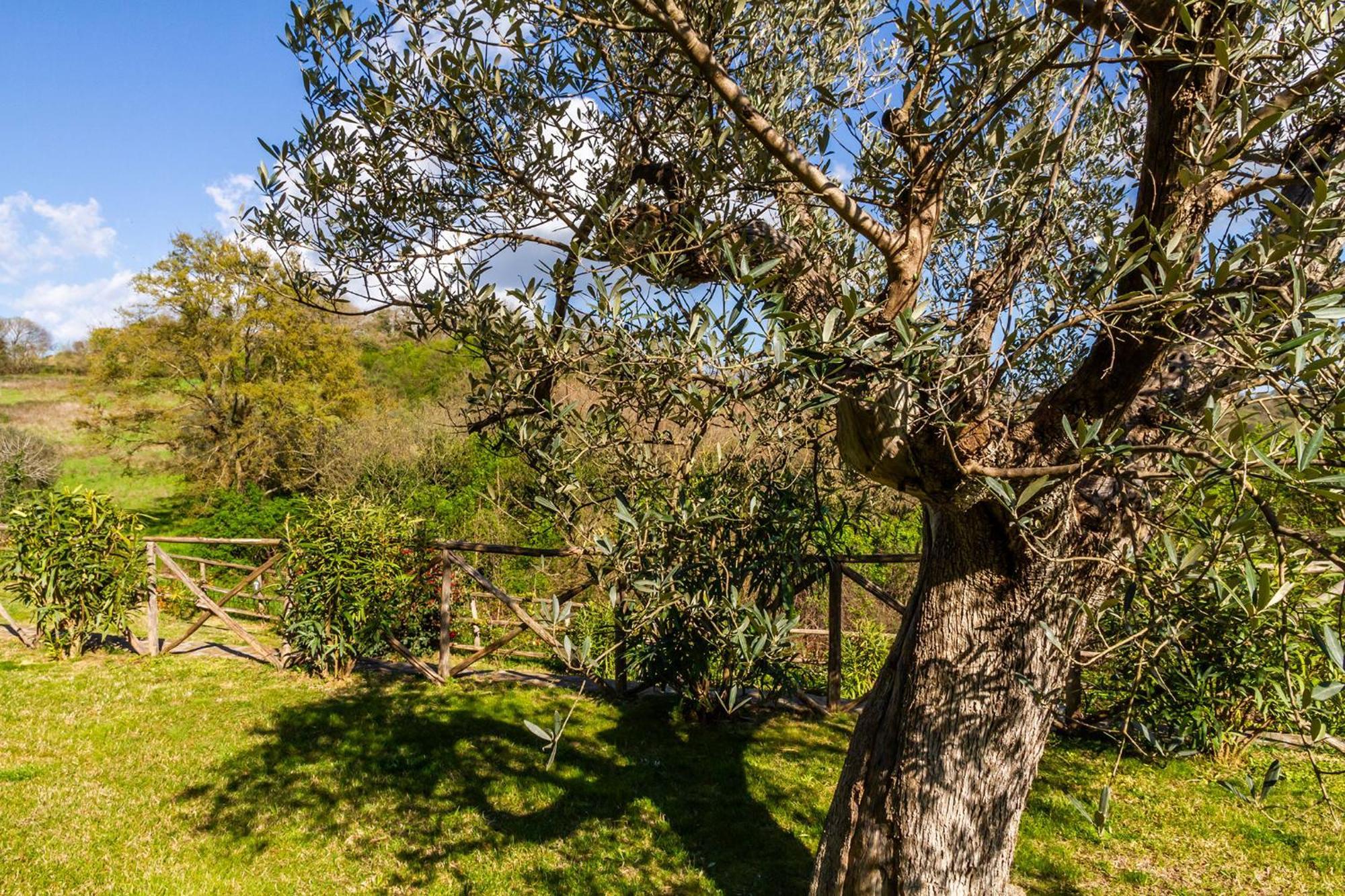 Home With A View In Scansano, Tuscany Luaran gambar